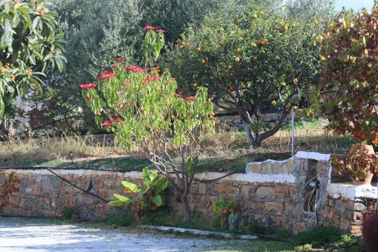 Kassandra Garden Residence Istron エクステリア 写真