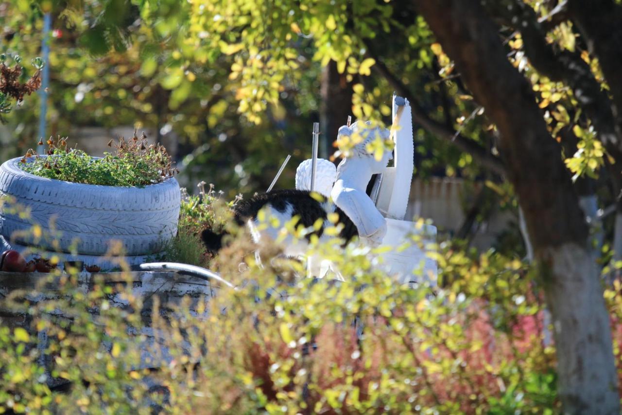 Kassandra Garden Residence Istron エクステリア 写真