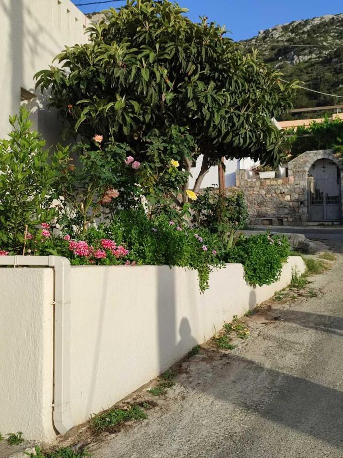 Kassandra Garden Residence Istron エクステリア 写真