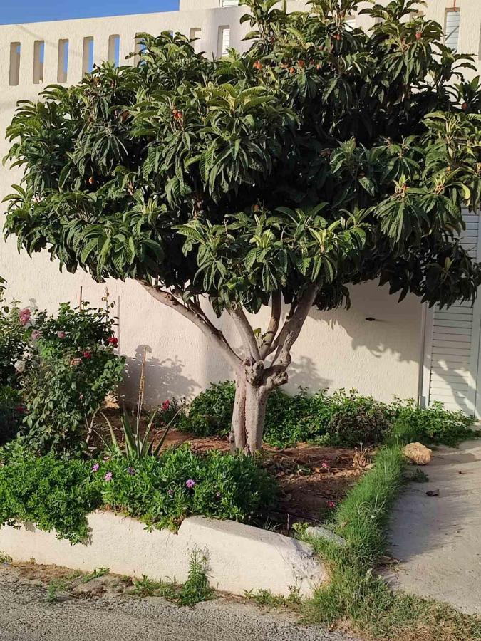 Kassandra Garden Residence Istron エクステリア 写真